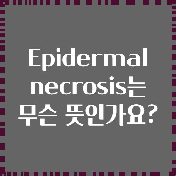 Epidermal necrosis는 무슨 뜻인가요?