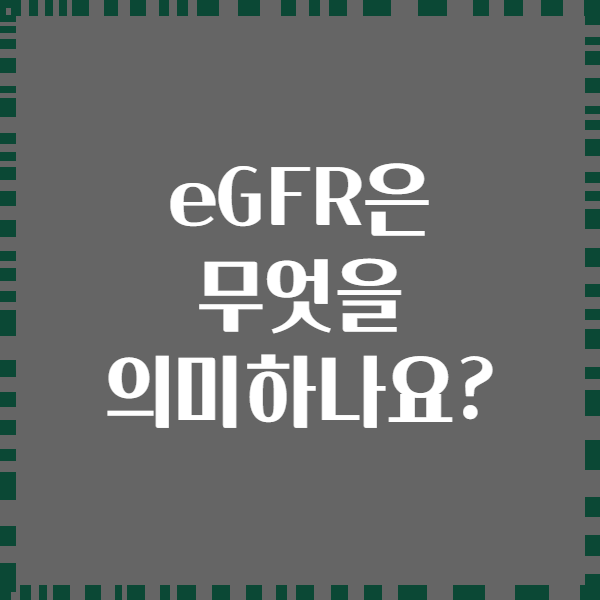 eGFR은 무엇을 의미하나요?