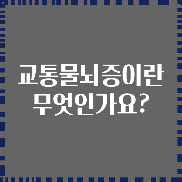 교통물뇌증이란 무엇인가요?