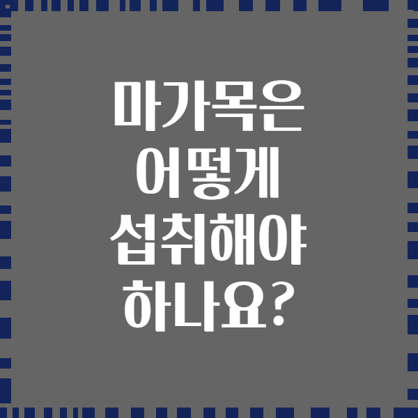 마가목은 어떻게 섭취해야 하나요?