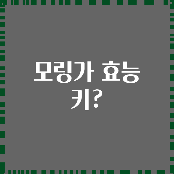 모링가 효능 키?