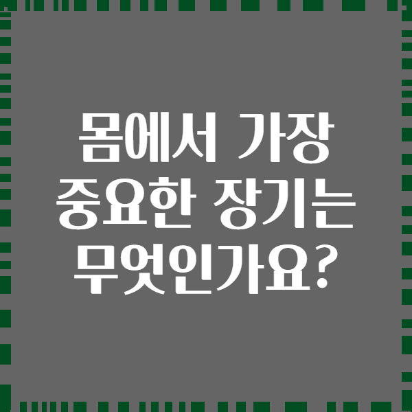 몸에서 가장 중요한 장기는 무엇인가요?