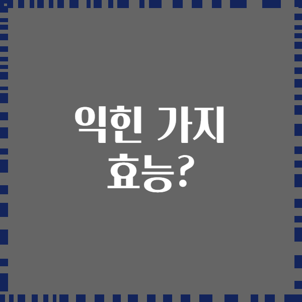 익힌 가지 효능?