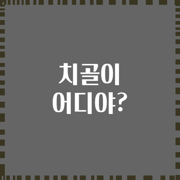치골이 어디야?