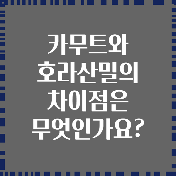 카무트와 호라산밀의 차이점은 무엇인가요?