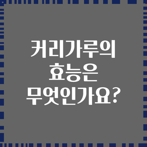 커리가루의 효능은 무엇인가요?
