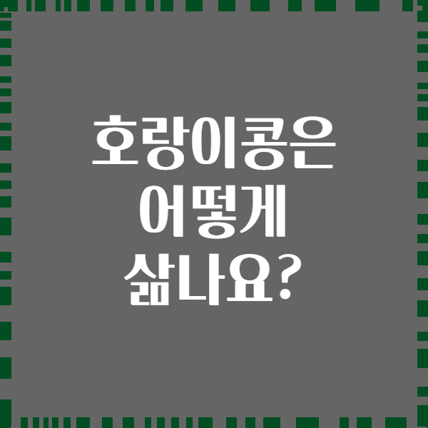 호랑이콩은 어떻게 삶나요?