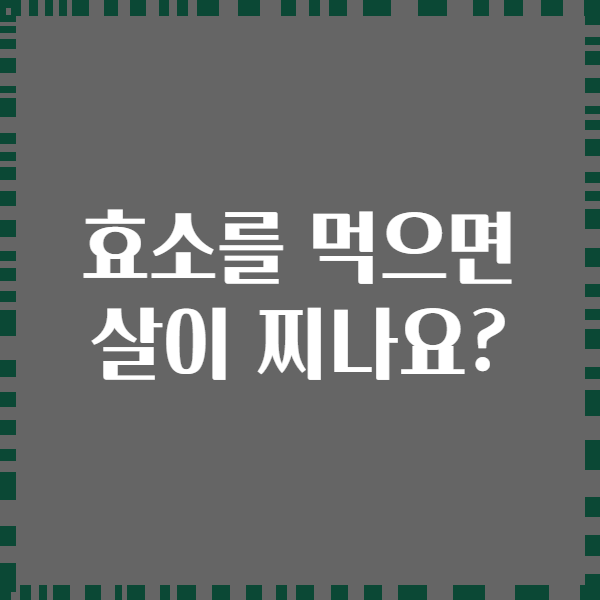 효소를 먹으면 살이 찌나요?
