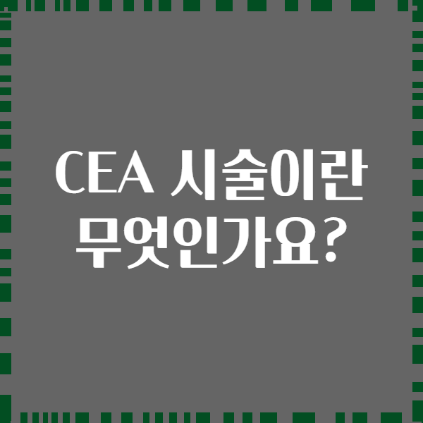 CEA 시술이란 무엇인가요?