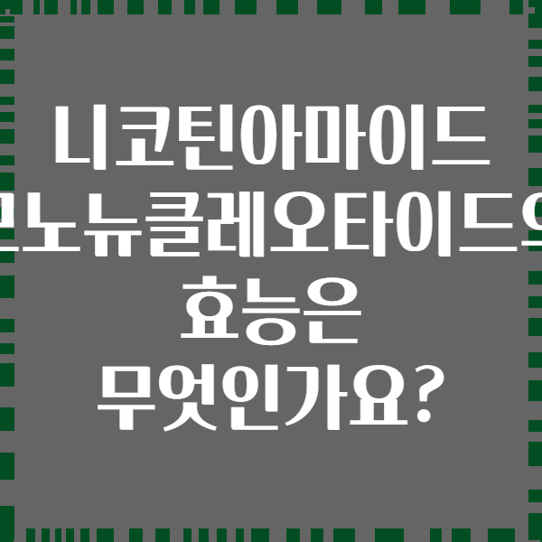 니코틴아마이드 모노뉴클레오타이드의 효능은 무엇인가요?