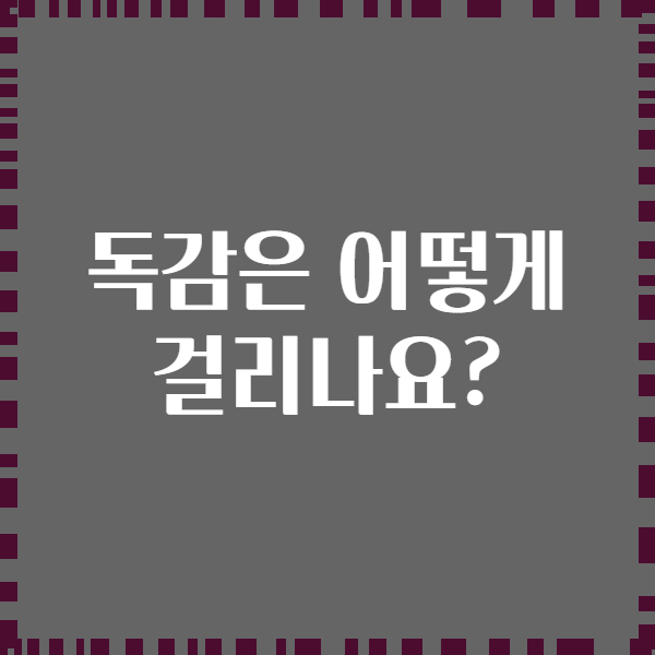 독감은 어떻게 걸리나요?