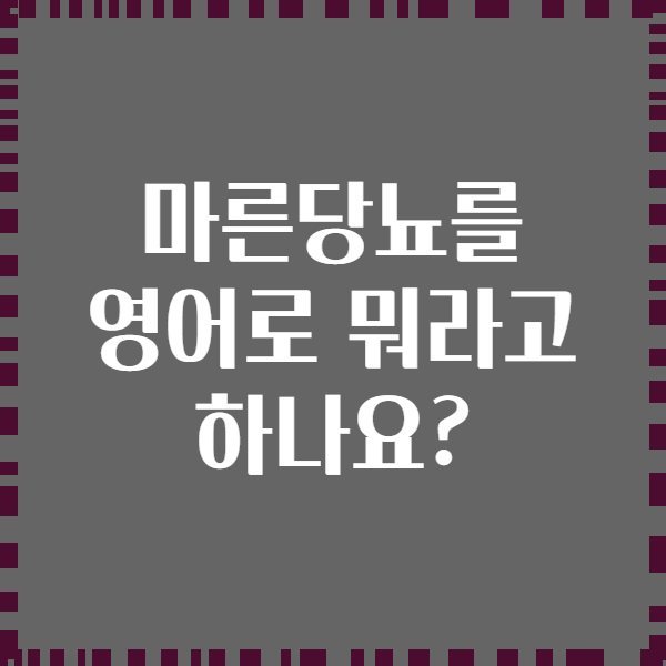마른당뇨를 영어로 뭐라고 하나요?