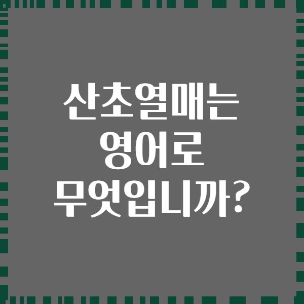 산초열매는 영어로 무엇입니까?