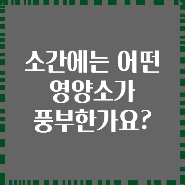 소간에는 어떤 영양소가 풍부한가요?