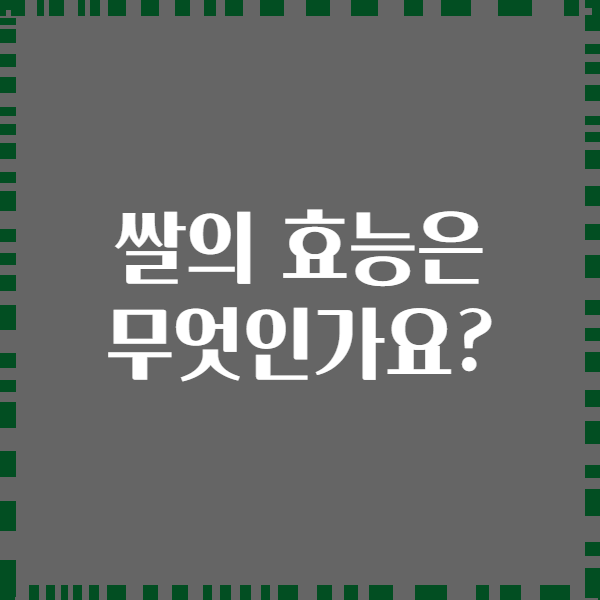 쌀의 효능은 무엇인가요?