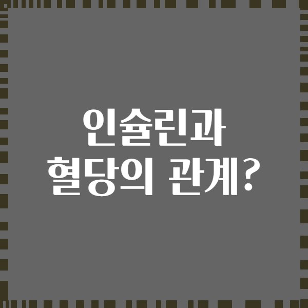 인슐린과 혈당의 관계?