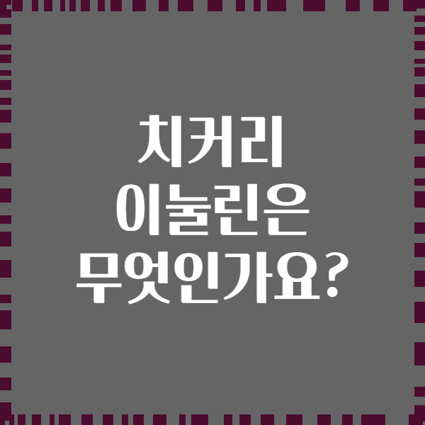 치커리 이눌린은 무엇인가요?