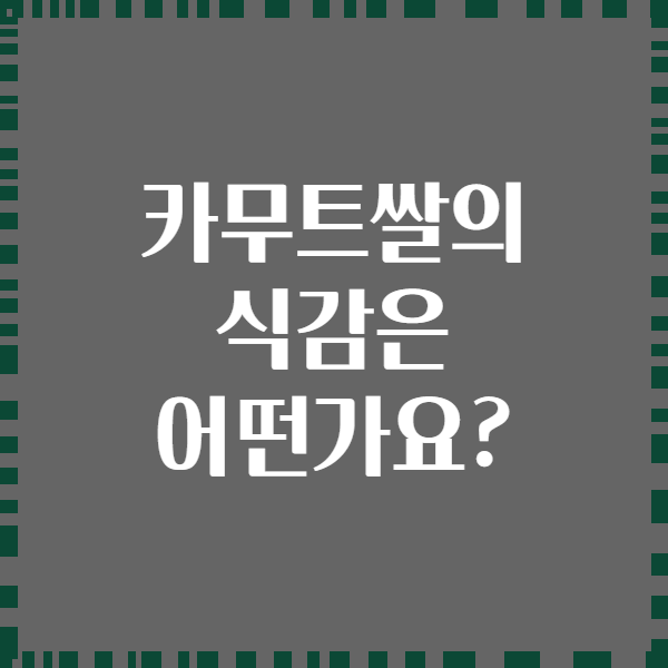 카무트쌀의 식감은 어떤가요?