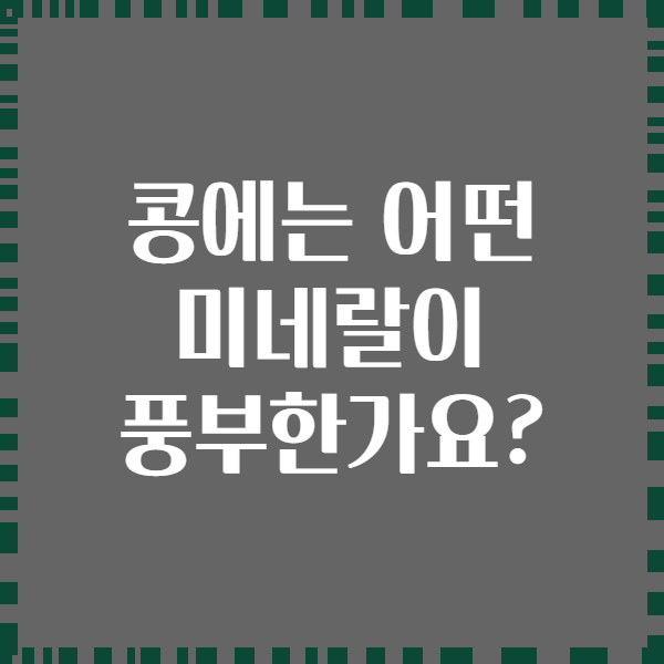 콩에는 어떤 미네랄이 풍부한가요?
