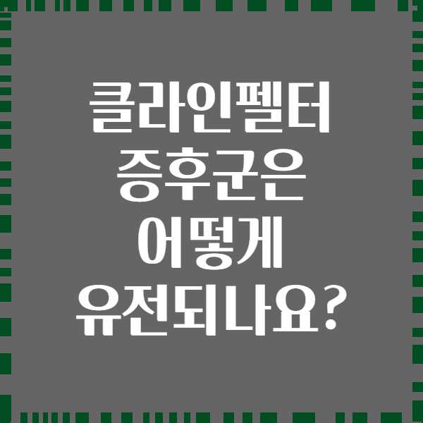 클라인펠터 증후군은 어떻게 유전되나요?