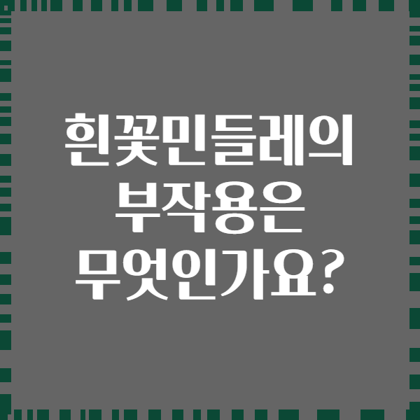 흰꽃민들레의 부작용은 무엇인가요?