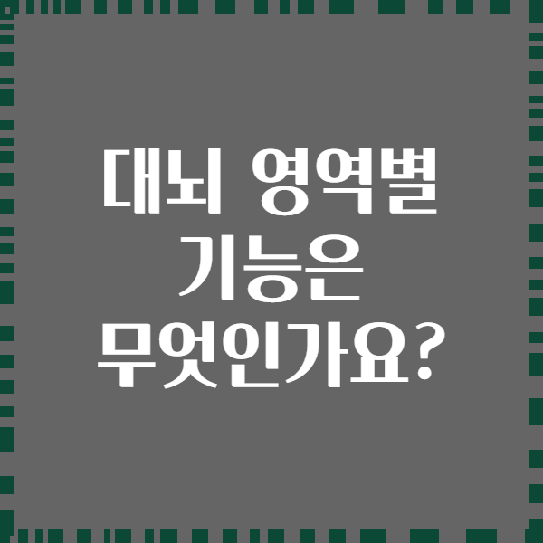 대뇌 영역별 기능은 무엇인가요?