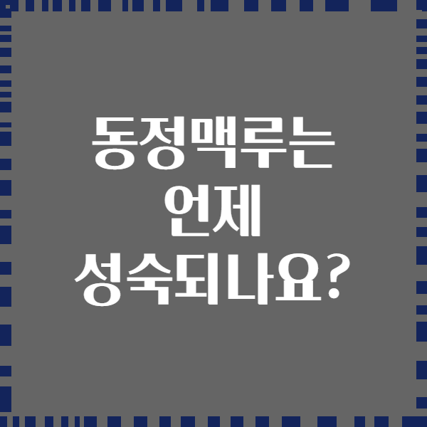 동정맥루는 언제 성숙되나요?