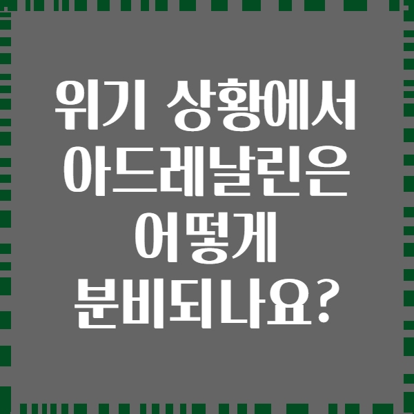 위기 상황에서 아드레날린은 어떻게 분비되나요?