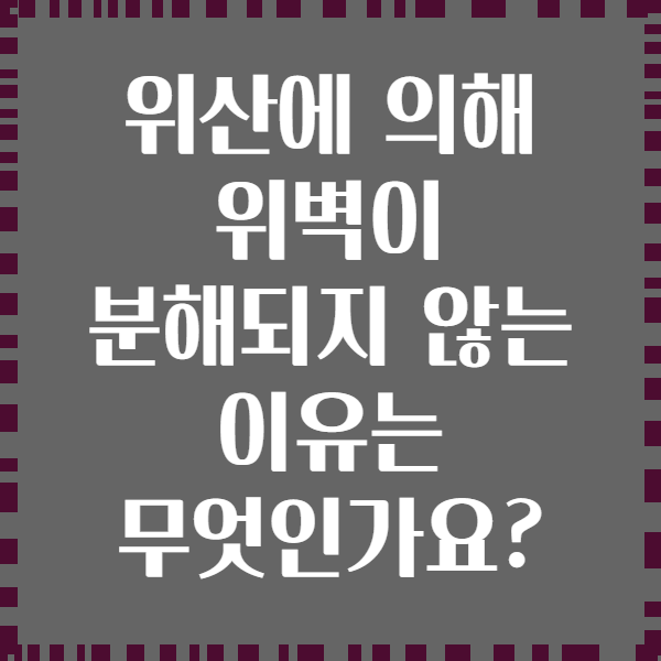 위산에 의해 위벽이 분해되지 않는 이유는 무엇인가요?