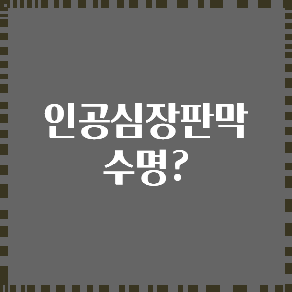 인공심장판막 수명?