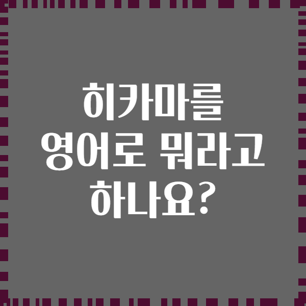 히카마를 영어로 뭐라고 하나요?