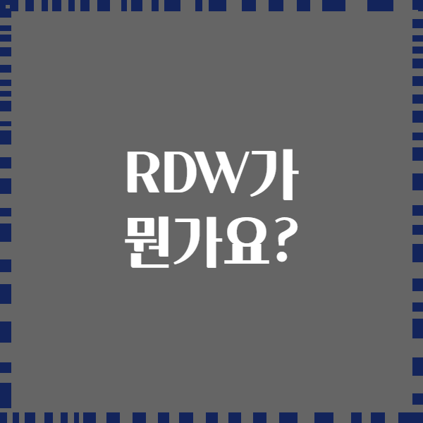 RDW가 뭔가요?