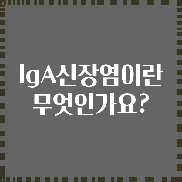 lgA신장염이란 무엇인가요?