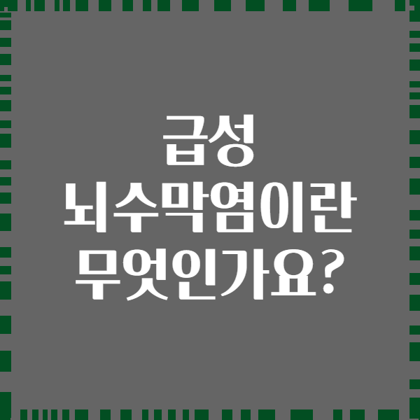 급성 뇌수막염이란 무엇인가요?