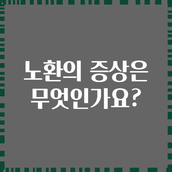 노환의 증상은 무엇인가요?