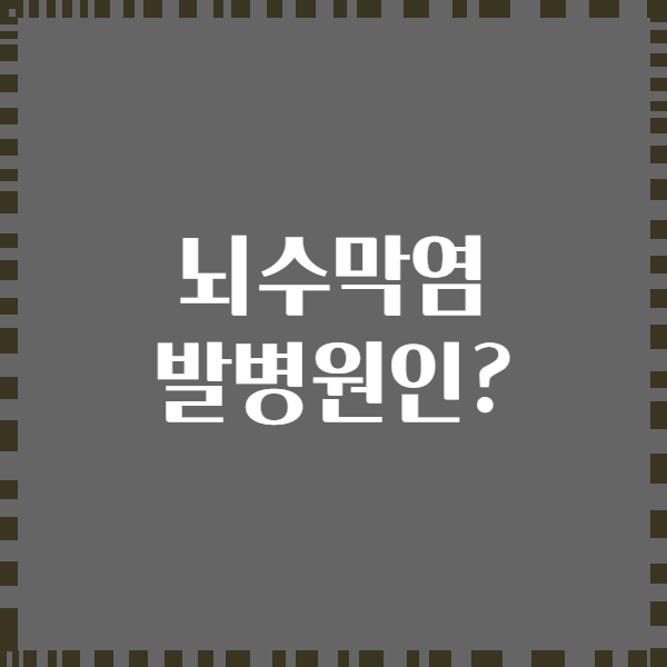 뇌수막염 발병원인?