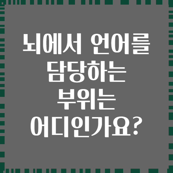 뇌에서 언어를 담당하는 부위는 어디인가요?