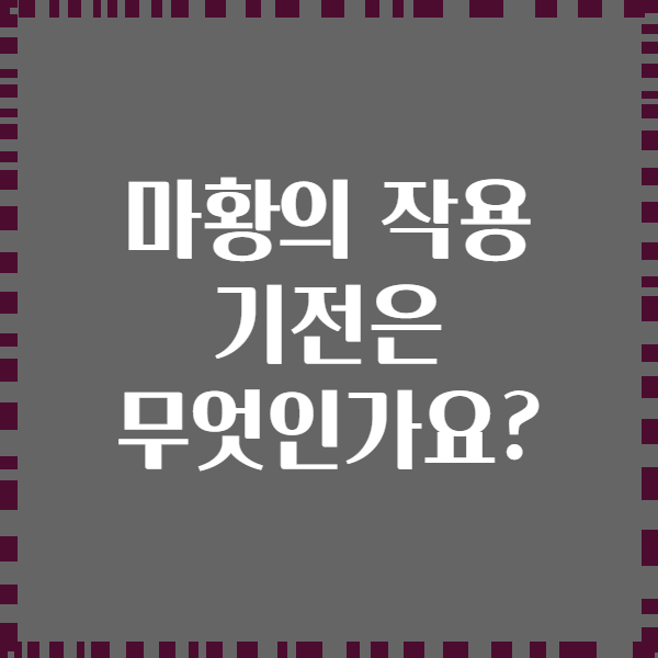 마황의 작용 기전은 무엇인가요?