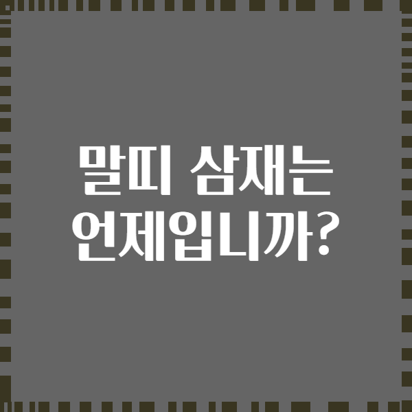 말띠 삼재는 언제입니까?