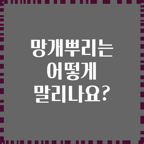 망개뿌리는 어떻게 말리나요?