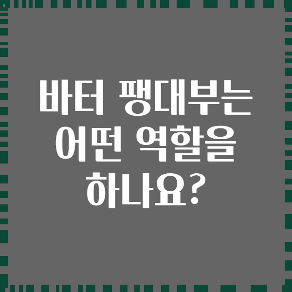 바터 팽대부는 어떤 역할을 하나요?