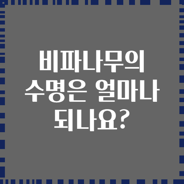 비파나무의 수명은 얼마나 되나요?
