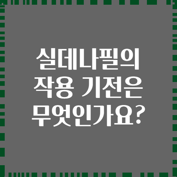실데나필의 작용 기전은 무엇인가요?