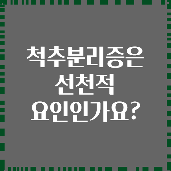척추분리증은 선천적 요인인가요?
