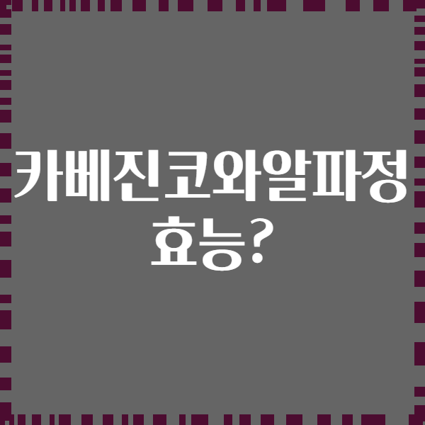 카베진코와알파정 효능?