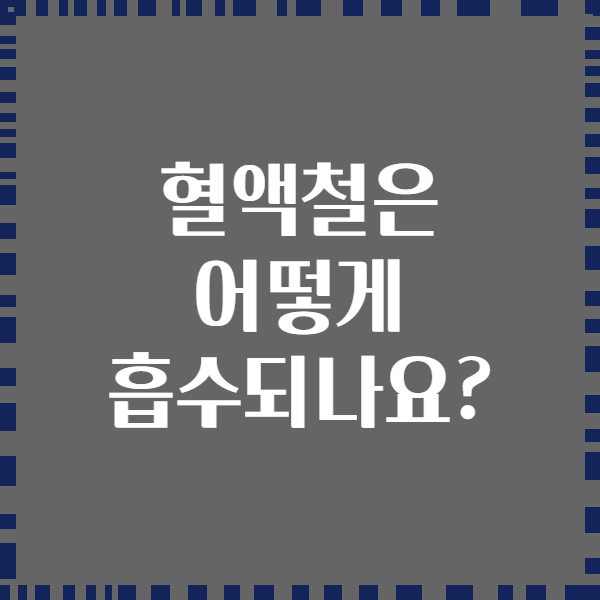 혈액철은 어떻게 흡수되나요?