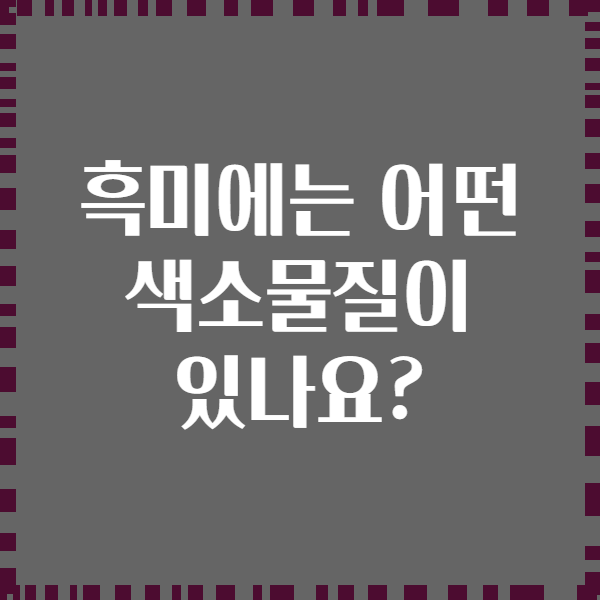 흑미에는 어떤 색소물질이 있나요?