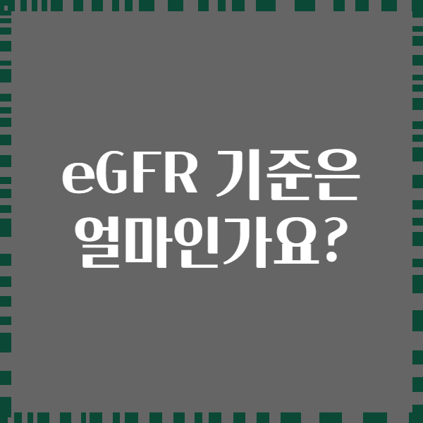 eGFR 기준은 얼마인가요?