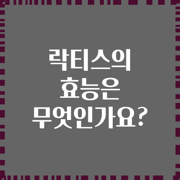 락티스의 효능은 무엇인가요?